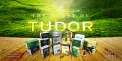 Tudor