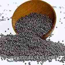 Насіння чорної гірчиці 100 г, zip – пакет; Black mustard seeds 100 g